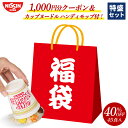 【 送料無料 】 日清オンラインストア 2025 年末福袋 【日清食品公式】 特盛 セット 45食入 期間限定 福袋 日清 カッ…