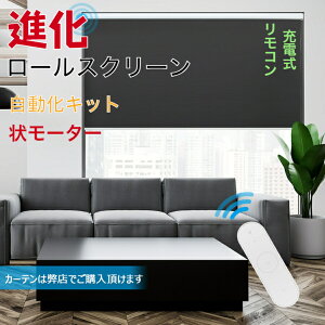 [XN[ dLbg [d dǏ󃂁[^[ ~ Lbg [J[e Rt  19mm28mm̃pCvagpł܂i[[uChj