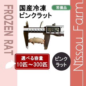 YⓀsNbg@@10`11g @@Iׂe10C`