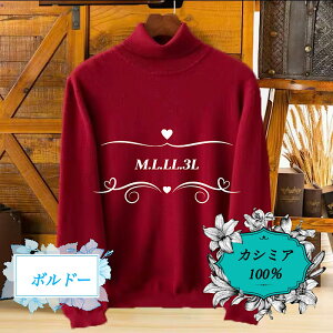 JV~A100% Y@^[glbNZ[^[@jbgZ[^[@{h[F@JV~@Iׂ4TCY