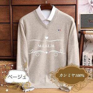 JV~100% Y@VlbNZ[^[ x[W@JV~A@IׂTCY4