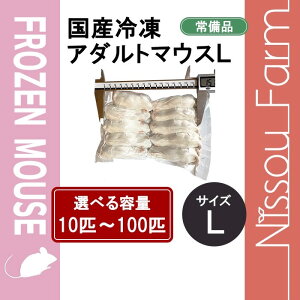 YⓀA_g}EXL @@Iׂeʁ@10C`100C