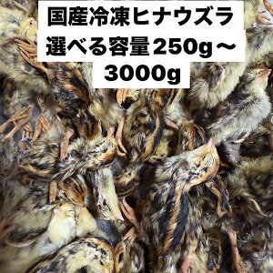 YⓀEY@qiEY@Iׂeʁ@250g(35H)`3,000g(420H)