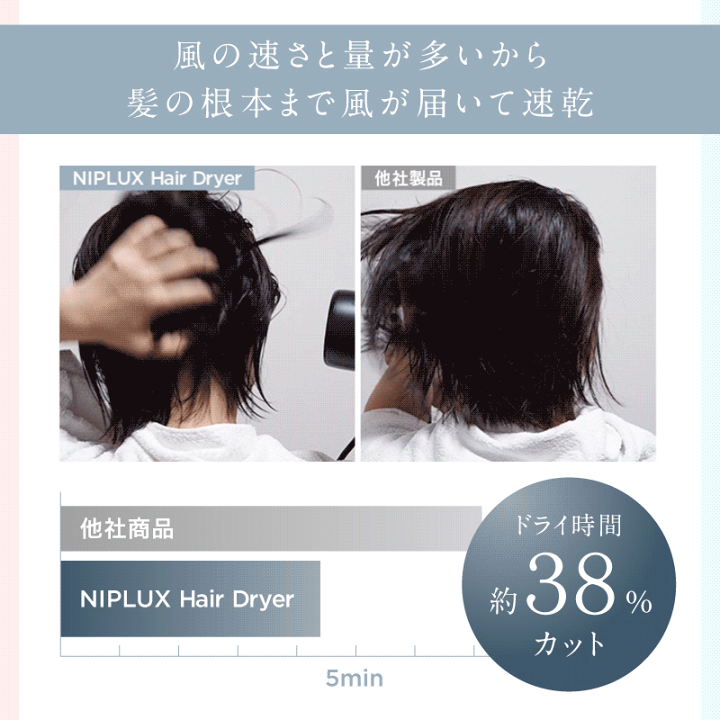 楽天市場】NIPLUX Hair Dryer ニップラックス ヘアドライヤー 2.3億