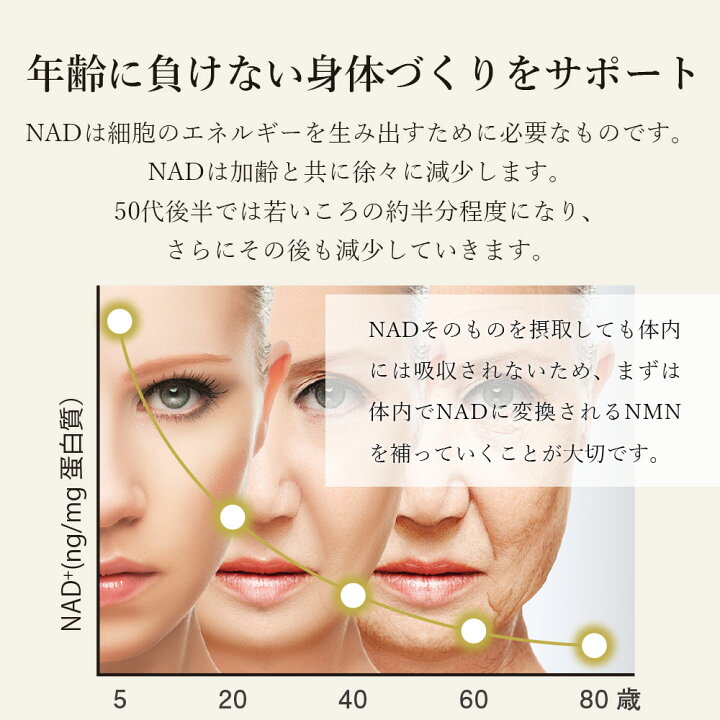 楽天市場】NMN 輝の源 高品質 12000mg配合 純度99% エイジングケア 