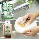 【ポイント5倍】 植物生まれのスポンジ セルロース サイザル麻 天然素材 自然派 ソフト ハード 熱湯消毒可能 衛生的 キッチンスポンジ スポンジ キッチン 台所 エコ 食器 水筒 食器洗い 食器用 台所 掃除 油汚れ プチギフト