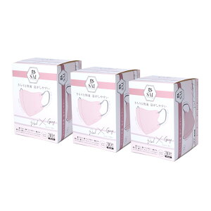 s ܂Ƃߔ t  SAI oCJ[}XN 30 S4F  sDz 3D ̃}XN lp 3w\ ̍\ xtB^[ ̉H F}XN oCJ[ ӂ 傫 