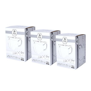 s ܂Ƃߔ t  SAI oCJ[}XN 30 S4F  sDz 3D ̃}XN lp 3w\ ̍\ xtB^[ ̉H F}XN oCJ[ ӂ 傫 