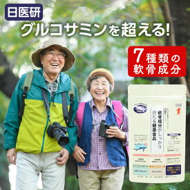 軟骨成分 がしっかり摂れる健康食品 (240粒入) 親 健康食品 サプリ コンドロイチン サプリメント 2型コラーゲン プロテオグリカン グルコサミン 非変性 ヒアルロン酸 7つの軟骨成分 国産 関節 コラーゲン 軟骨 ひざ 膝 変形性膝関節症 【 2袋以上で割引 】