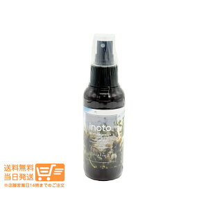 r[100~N[| iv inoto Cm[g wAPA~Xg 100ml napla 􂢗Ȃg[gg ǐՔz 