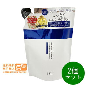 ���r���[�N�[�|��100�~ 2�Z�b�g unlabel LAB �A�����[�x�� ���{ CO���C�X�g �V�����v�[ �l�ւ� 310mL