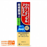 第一三共ヘルスケア クリーンデンタルプレミアム クールタイプ 100g 薬用ハミガキ
