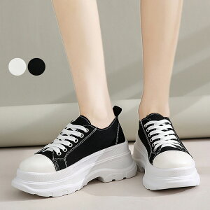 Xj[J[ [JbgC fB[XLoXV[Y [XAbv  \[V[Y