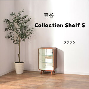 PT-611BRJ RNVVFtSuEy[J[zVFt I [ RNV  KX k Vv