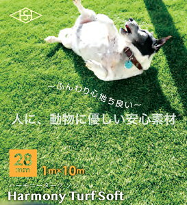 n[j[^[t\tg 28~ 1m×10m^ Y ӂDlH VRŐ𗽉킷郊Aǋ E\lH