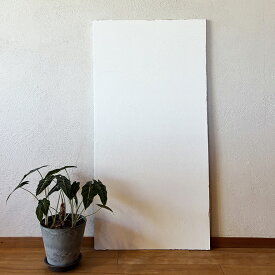 自然派ねりしっくい SELF-re mini 9kg／箱 天然素材100% セルフル DIY用練り漆喰 漆喰・練り済み ホワイト ベージュ グレー　高知石灰工業