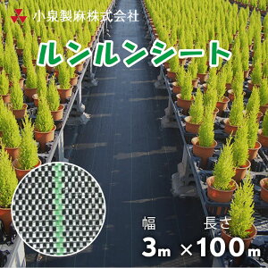 hV[g V[g 3m×100m^^^~ × G Ő DIY   GV[g 򐻖 ylzsz