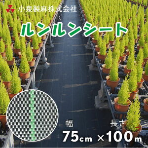 hV[g V[g 75cm×100m^ × G Ő DIY   GV[g 򐻖 ylzsz