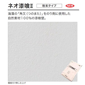 lI2i^CvElIpij 20kg^܁@l