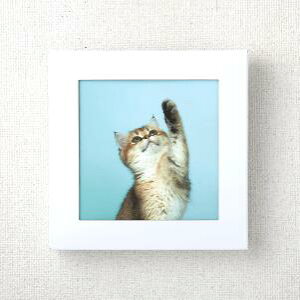 gуgC A[gg ATW-5 5×32^P[X ܂ɂ