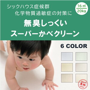 X[p[׃N[ L  i ) 20kg^ mΊDHƊ