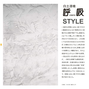 y ċz 10kg^ hǍށ@ЏΏ