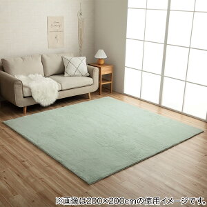 ؍VvO(LPC)@jg y[J[Ez