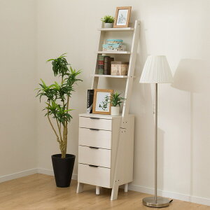 `FXgbN(Ggi 40CR)@jg y֐斘[iz CguE ~huE ubN zCg/Vo[ _[NuE zCgEHbV O[