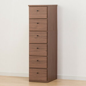 X`FXg 30cm (fB 30)@jg y֐斘[iz y5Nۏ؁z