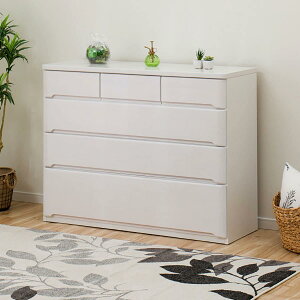 [120cm] [`FXg (IEJ2 DVD120LC) jg yzݒuiz y5Nۏ؁z