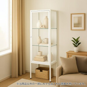 KXRNVP[X(AN001)y֐斘[iz jg