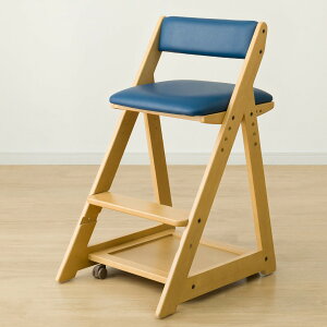 wK֎q(WS01)@jg y֐斘[iz