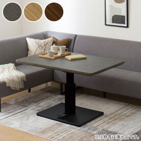 昇降式リビングこたつ(DP03 120)【配送員設置商品】 ニトリ