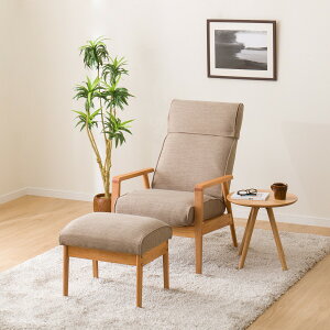 [60cm] p[\i`FAZbg (AiXDR-BE/LBR) jg yzݒuiz y5Nۏ؁z