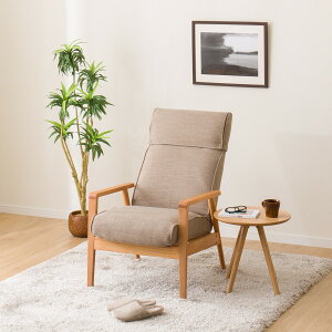 [60cm] p[\i`FA{ (AiXDR-BE/LBR) jg y֐斘[iz y5Nۏ؁z