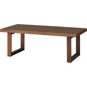 �Z���^�[�e�[�u�� (N�R���N�V����CT06U 110) �y5�N�ۏ؁z �j�g��
