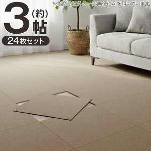 �y3���Z�b�g�z24���� �􂦂�^�C���J�[�y�b�gLT 50X50cm(SL03)�y���֐斘�[�i�z�j�g��