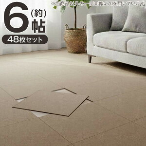 �y6���Z�b�g�z48���� �􂦂�^�C���J�[�y�b�gLT 50X50cm(SL03)�y���֐斘�[�i�z�j�g��