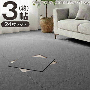 �y3���Z�b�g�z24���� �􂦂�^�C���J�[�y�b�gLT 50X50cm(SL03)�y���֐斘�[�i�z�j�g��