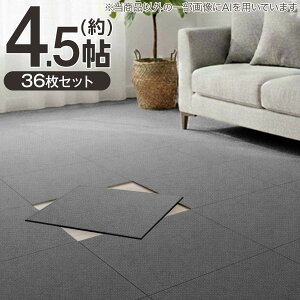 �y4.5���Z�b�g�z36���� �􂦂�^�C���J�[�y�b�gLT 50X50cm(SL03)�y���֐斘�[�i�z�j�g��