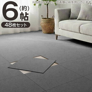 �y6���Z�b�g�z48���� �􂦂�^�C���J�[�y�b�gLT 50X50cm(SL03)�y���֐斘�[�i�z�j�g��