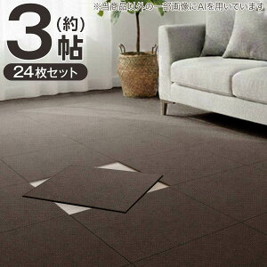 �y3���Z�b�g�z24���� �􂦂�^�C���J�[�y�b�gLT 50X50cm(SL03)�y���֐斘�[�i�z�j�g��