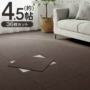 �y4.5���Z�b�g�z36���� �􂦂�^�C���J�[�y�b�gLT 50X50cm(SL03)�y���֐斘�[�i�z�j�g��