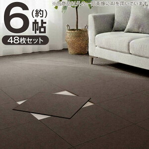 �y6���Z�b�g�z48���� �􂦂�^�C���J�[�y�b�gLT 50X50cm(SL03)�y���֐斘�[�i�z�j�g��