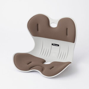 姿勢サポートチェアL(RC1210) ニトリ 【玄関先迄納品】