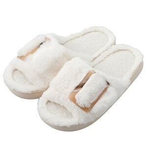 T_ M(ncSD25 M)@jg y֐斘[iz fRz[