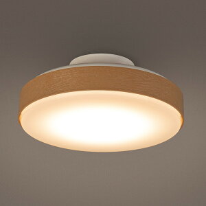 LED~jV[OCg (60L)@jg y֐斘[iz