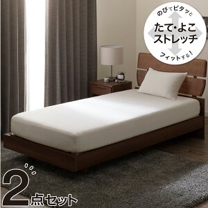 y2_ZbgzNtBbgv~A V[c SS-S+Jo[(FT01/FT02)@jg y֐斘[iz ynƍՊԌ艿iF1/5܂Łz