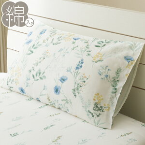 Jo[(ԕ CS2520)@jg y֐斘[iz