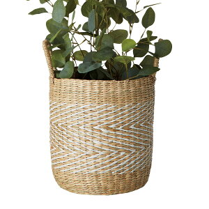 �V�[�O���X���J�o�[(VD711)�@�j�g�� �y���֐斘�[�i�z